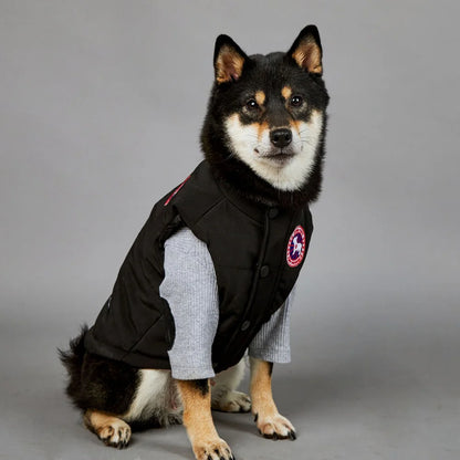 NONOR New Winter Pet Dog Clothes Cotton Vest Warm Windproof Dog Jacket French Bulldog Puppy Yorkshire Chihuahua Dog Costume