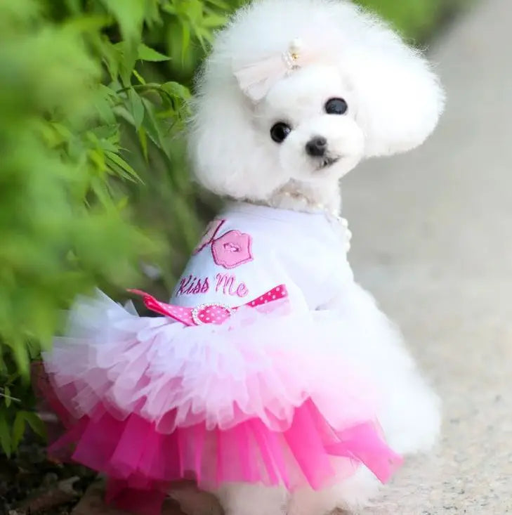 Pet Dress Dog Skirt Eye-catching Breathable Cotton Pretty Bow Knot for Summer Dog Clothes Dresses for Dogs