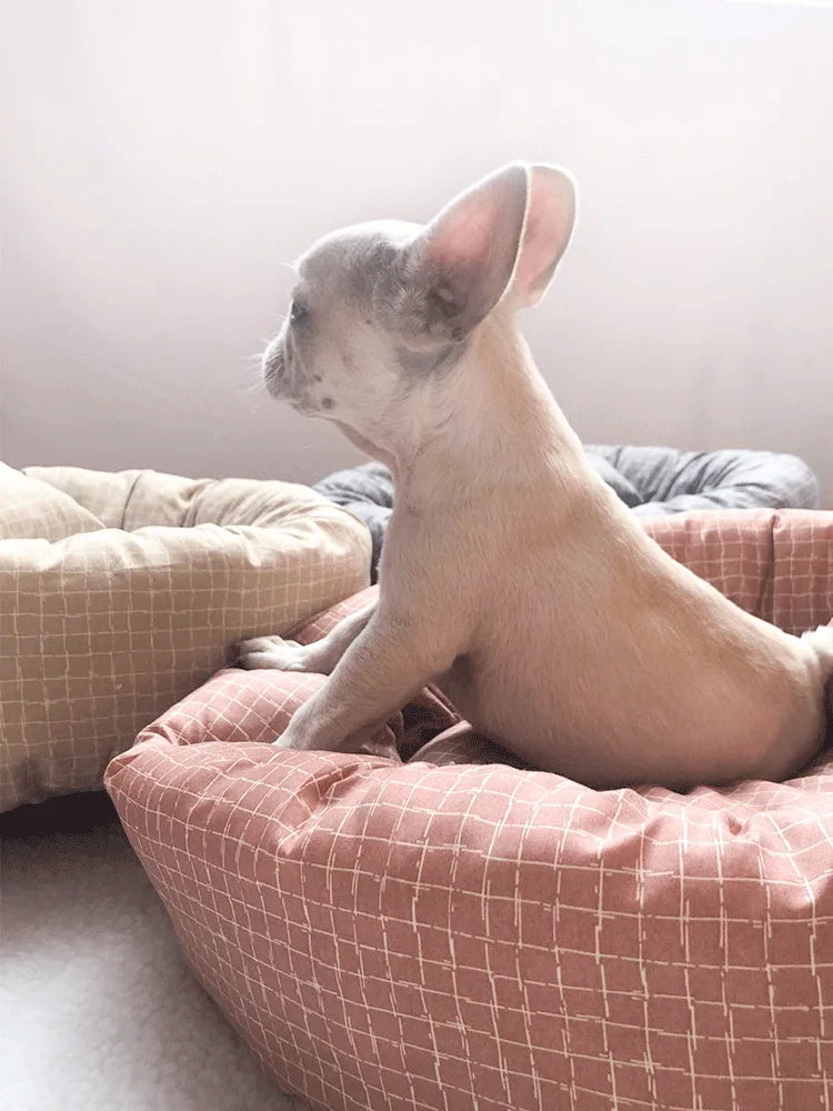 All Season Dog Cat Bed Washable Pet House Soft Warm Cushion for Small Medium Large Pets