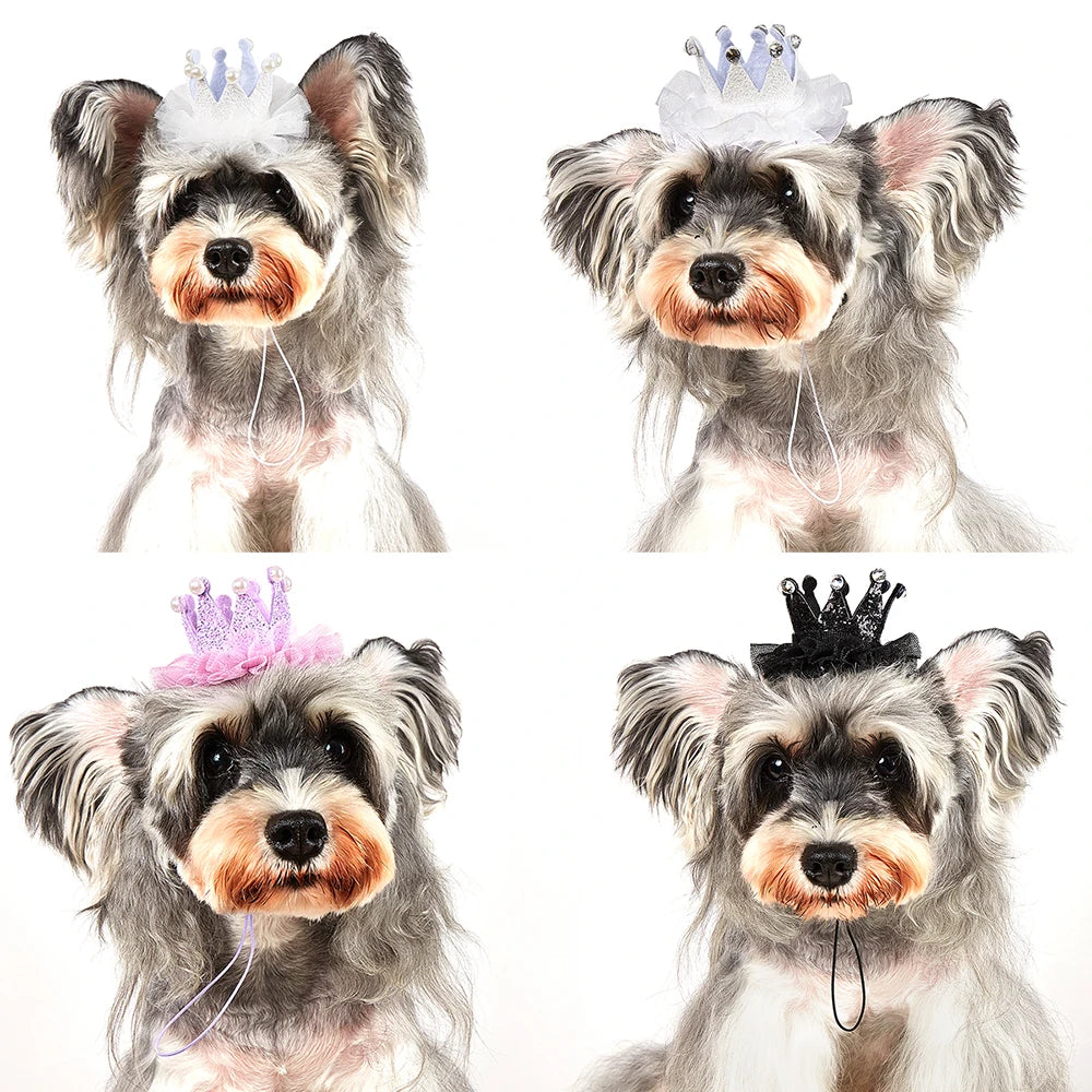 Luxury Pet Birthday Party Hat for Dogs & Cats - Instagrammable Photo Prop High-Quality Birthday Hat for Pets