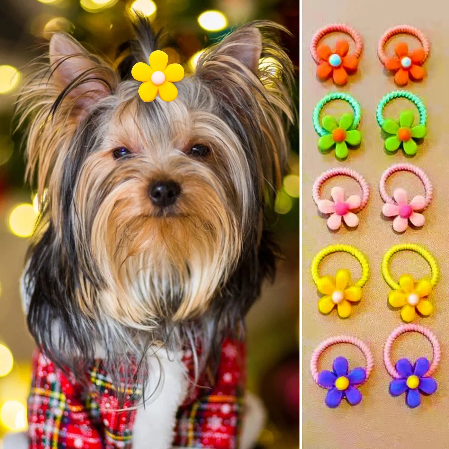 the DAISY DOG BOW - 40PCS Hair Bows, Fashion Cute Small Dog/Cat Hair Bows, Dogs/Cats Hair Accessories, Rubber Bands Bows for Dogs Grooming Products