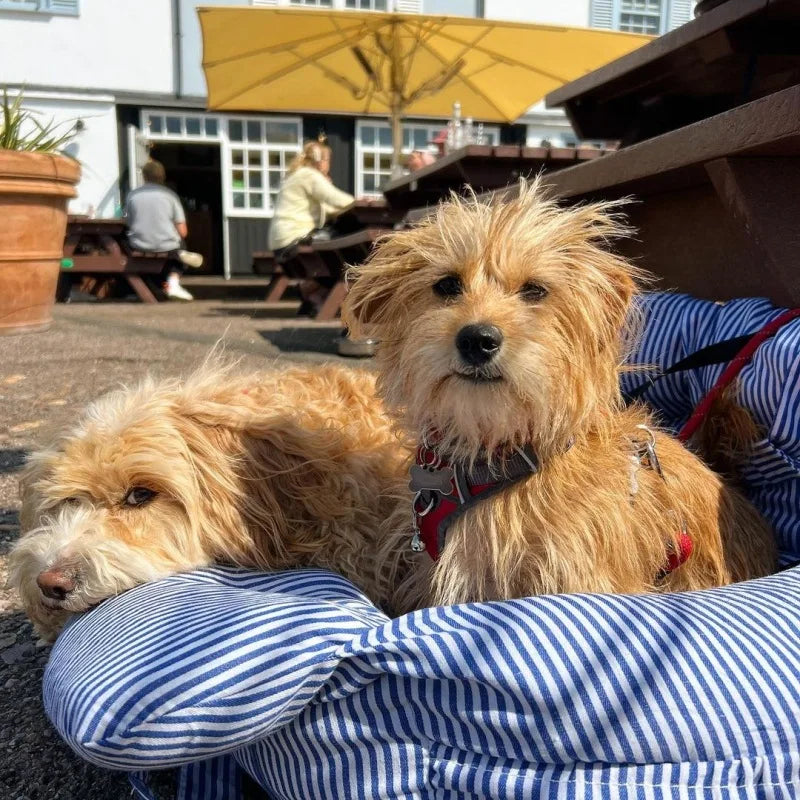 Dog Seat for Car Travel Booster Car Seat for pet Dog cat car Seat Bed Washable Thick Cushion dog carrier bag pet Car Carrier