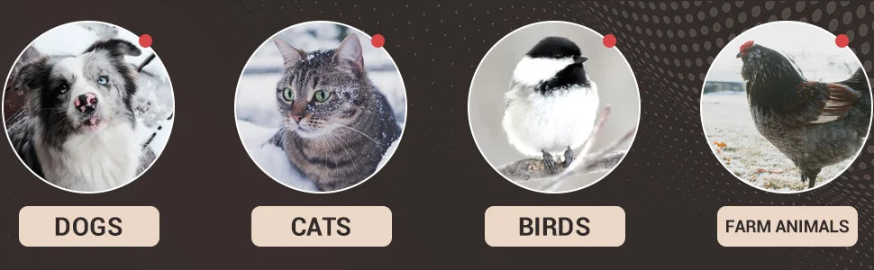 Heated Automatic Water Bowl for Dogs,Heated Dog Automatic Filling Outdoor Bowl,Heated Auto Waterer for Dog,Cats,Chickens,Animals