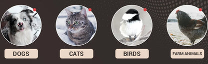 Heated Automatic Water Bowl for Dogs,Heated Dog Automatic Filling Outdoor Bowl,Heated Auto Waterer for Dog,Cats,Chickens,Animals