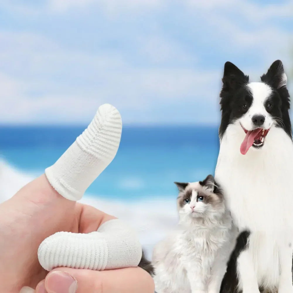 10 Pcs Pet Finger Soft Toothbrush Finger Sleeve Brushes Remove Tartar Cochlear Clean for Dog Cat Toothbrush Pet Oral Care