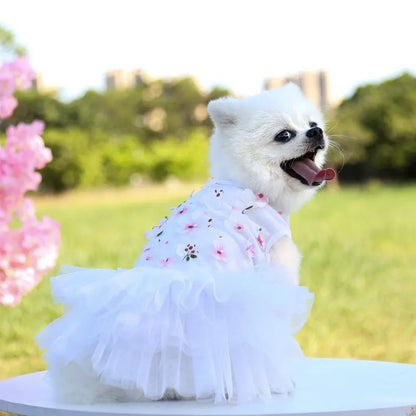 Lace Chiffon Dress for Small Dog Floral Dress Party Birthday Puppy Wedding Dress Summer Cute Costume Clothes for Pet Dogs Cat