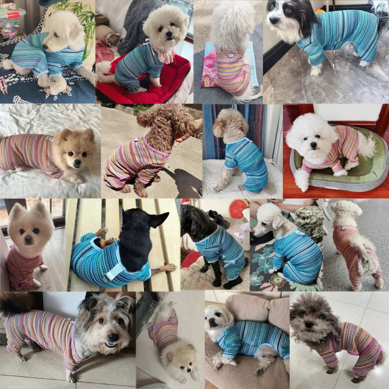 Summer Pet Clothes for Small Dogs Colorful Stripes Dog Jumpsuits Fashion Puppy Rompers Soft Cat Pajamas Pet Overalls Dog Outfits