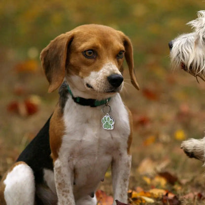 Cat Dog Paw Print Dog Cat Tags Personalized Anti-Lost Pet Glitter Pendant Exquisite with Hook Pet Collar Tag Pendant Kitten