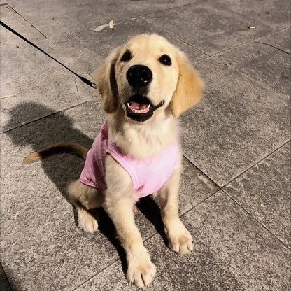 Cute Pet Vest Breathable Waffle Knit Soft and Comfortable with Traction Buckle Suitable for Spring/summer Dog and Cat Vest