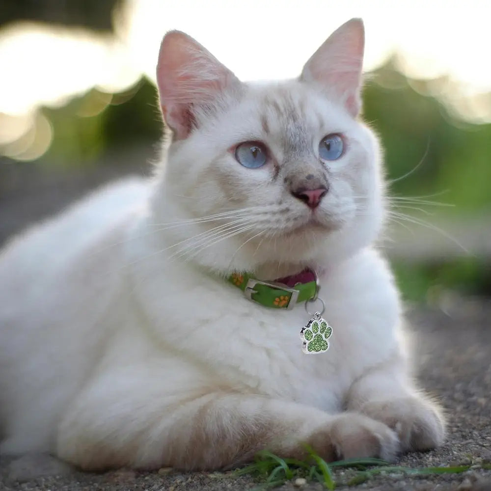 Cat Dog Paw Print Dog Cat Tags Personalized Anti-Lost Pet Glitter Pendant Exquisite with Hook Pet Collar Tag Pendant Kitten