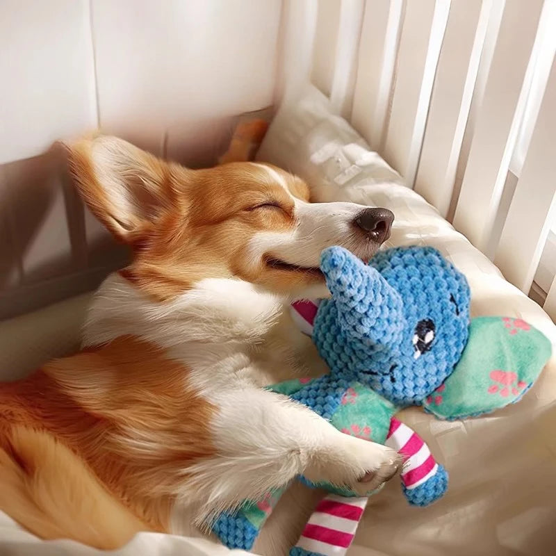 the CHEWCRITTER PLAY TOY - Pet Plush Toy, Cute Animals, Bite Resistant, Interactive Squeaky Dog Chewing Toy, Pet Dog Teeth Cleaning Chew Toy, Pet Supplies