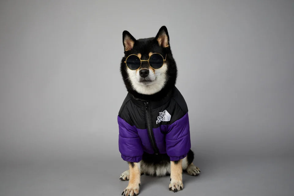 the DOG JACKET - The Dog Fans Winter Pet Dog Down Jacket, Clothes for Small/Medium Dogs, Warm Thick Dog Vest, French Bulldog/Puppy Coat