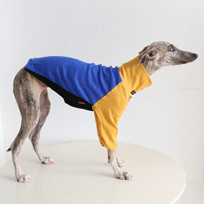 8colors Italian Greyhound Hound Two-Legged Clothes Fashionable Multicolor Soft Comfortable Elastic Fashion Patchwork Dog Clothes