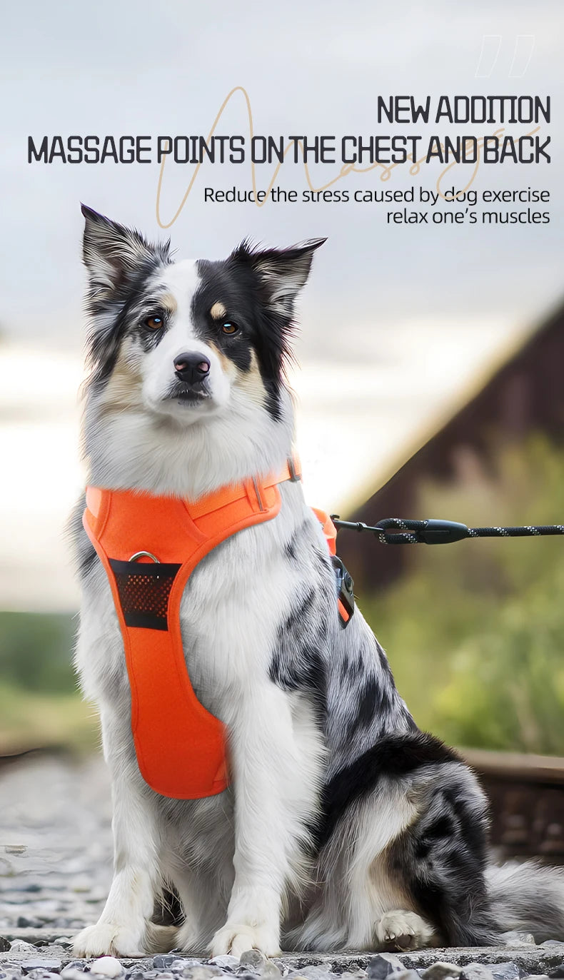 No Pull Dog Harness Pet Reflective Nylon Adjustable Medium Large Naughty Dog Vest Safety Vehicular Lead Walking Running