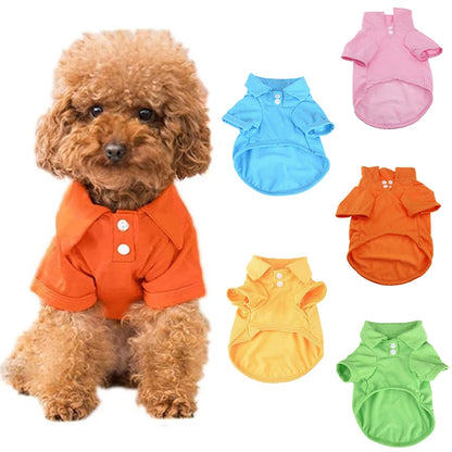 the CANDYPAW COOL TEE - Summer Pet Vest, 6 Candy Color Shirts, Puppy Breathable Solid Polo-Shirts, Chihuahua/Yorkie Fashion Vests, Dog Costume, Pet Clothing