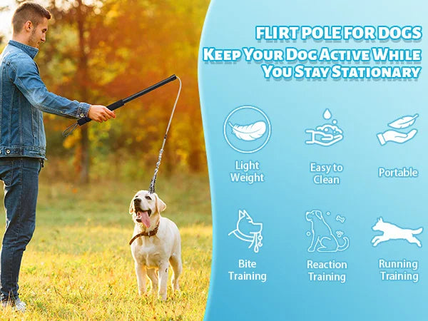 Flirt Pole for Dogs Interactive Dog Toys Durable Heavy Duty Dog Flirt Pole Suitable for Small and Medium Dogs Great Exercise