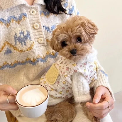 Pet cotton coat - Dog clothes - Small dog - Cat cotton jacket