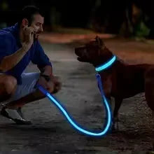 the LUMAGLOW ANTI-LOST COLLAR - LED Glowing Dog Collar, Adjustable Flashing Rechargeable Luminous Collar, Night Anti-Lost Dog Light Harness for Small Dog, Pet Products