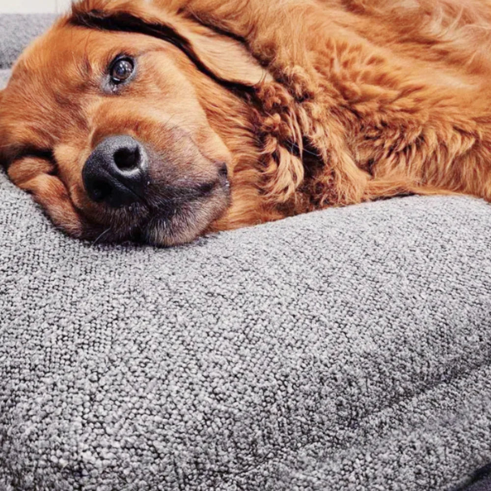 Custom Luxury Large Washable Orthopedic Waterproof Memory Foam Boucle Pet Dog Bed Pet Beds Removable Cover