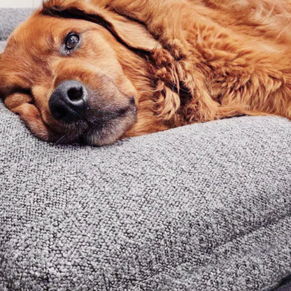 Custom Luxury Large Washable Orthopedic Waterproof Memory Foam Boucle Pet Dog Bed Pet Beds Removable Cover