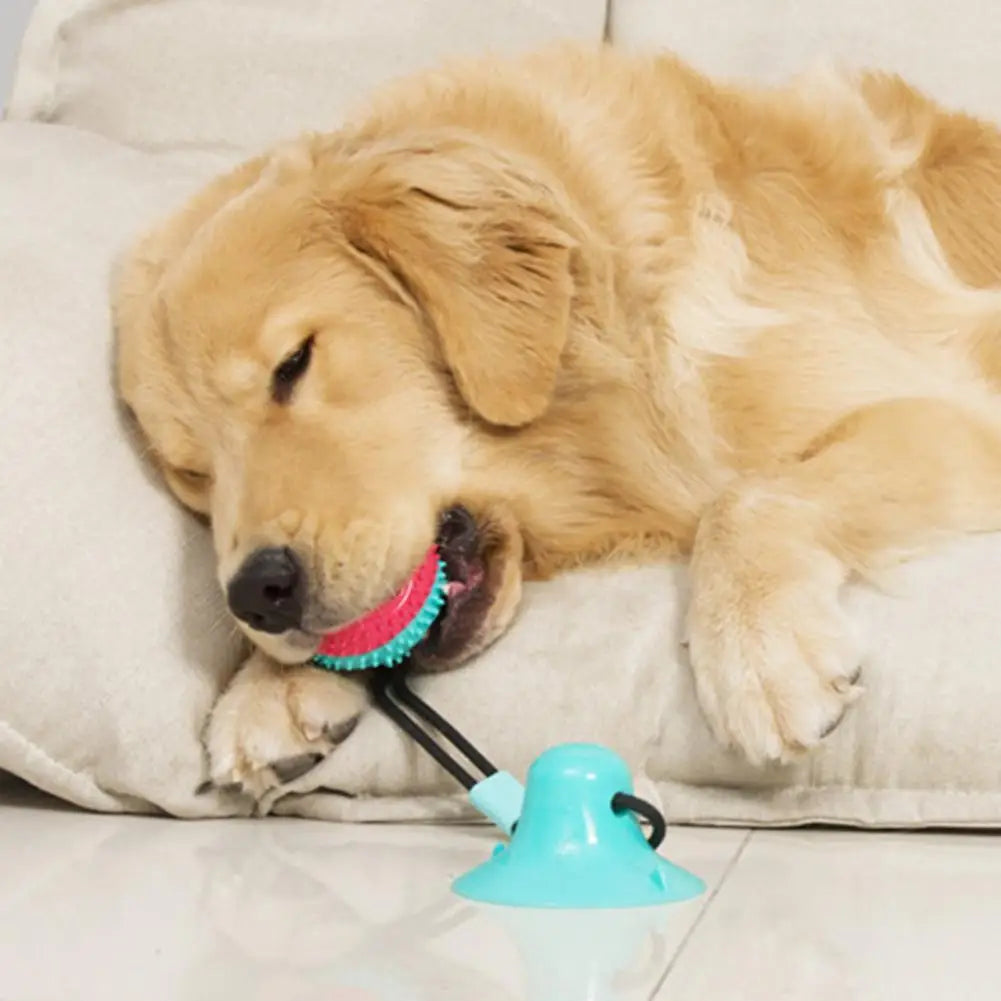 Dog Chew Toys for Aggressive Chewers Interactive Dog Suction Cup Toy Teething Rope Toy Dog Puzzle Treat Food Dispensing Ball Toy