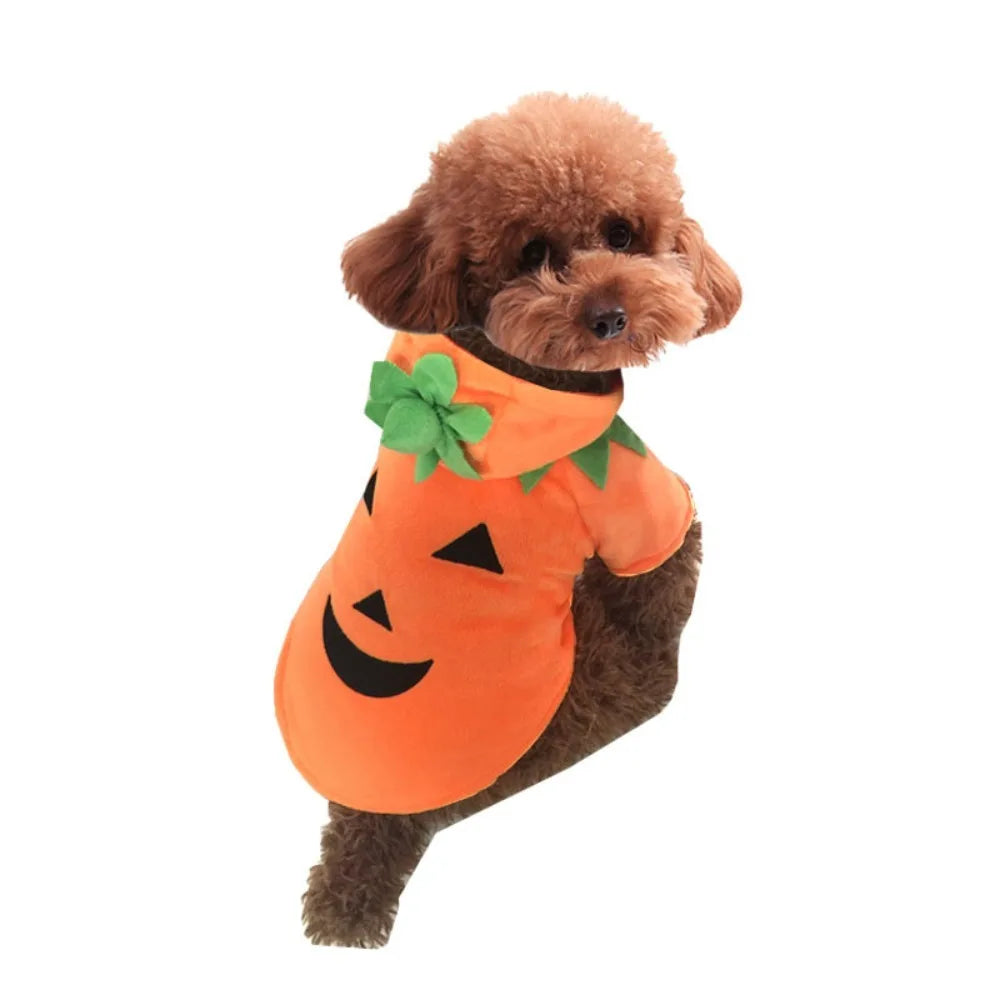 Pet Clothes Halloween Funny Pumpkin  Pirate Transformation Cat Small Dog Transformation Dress Photo Dog Clothes Pet Supplies