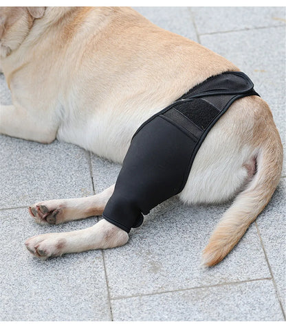 Dog Knee Brace Injury Recovery Fixed Support Brace Pet Leg Pain Relief Joint Wrap Brace For Elderly Disabled Injured Dogs