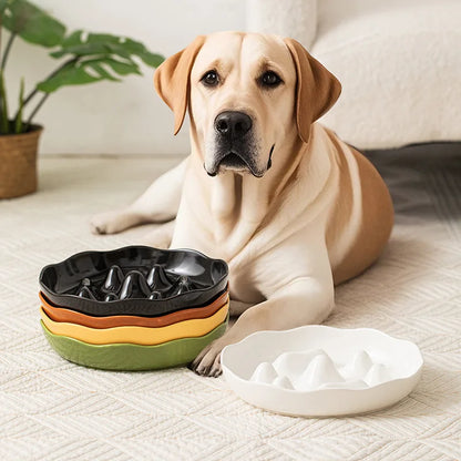 Slow Feeder Dog Bowl Large, Non-Slip Pet Food Dish for Medium Giant Dogs Like Labrador To Prevent Choking & Bloat