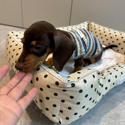 Removable Washable Pet Bed - Polka Dot All Season Mat for Small Medium Dogs Cats, Plush Cushion for Dachshund Puppy