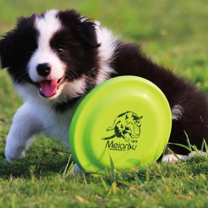 Dog Training Disc - Durable Pet for Puppy & Adult Dog Training, Lightweight Easy-Catch Dog Training Toy, Essential Pet Supplies