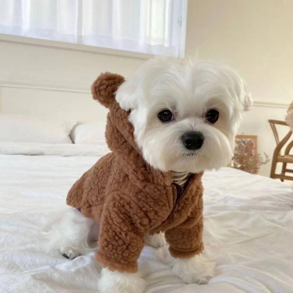 Cute Cartoon Bear Pattern Plush Dog Hoodie with Hat Zipper Cats Coat Jackets Warm Pet Clothes for Large Small Pet