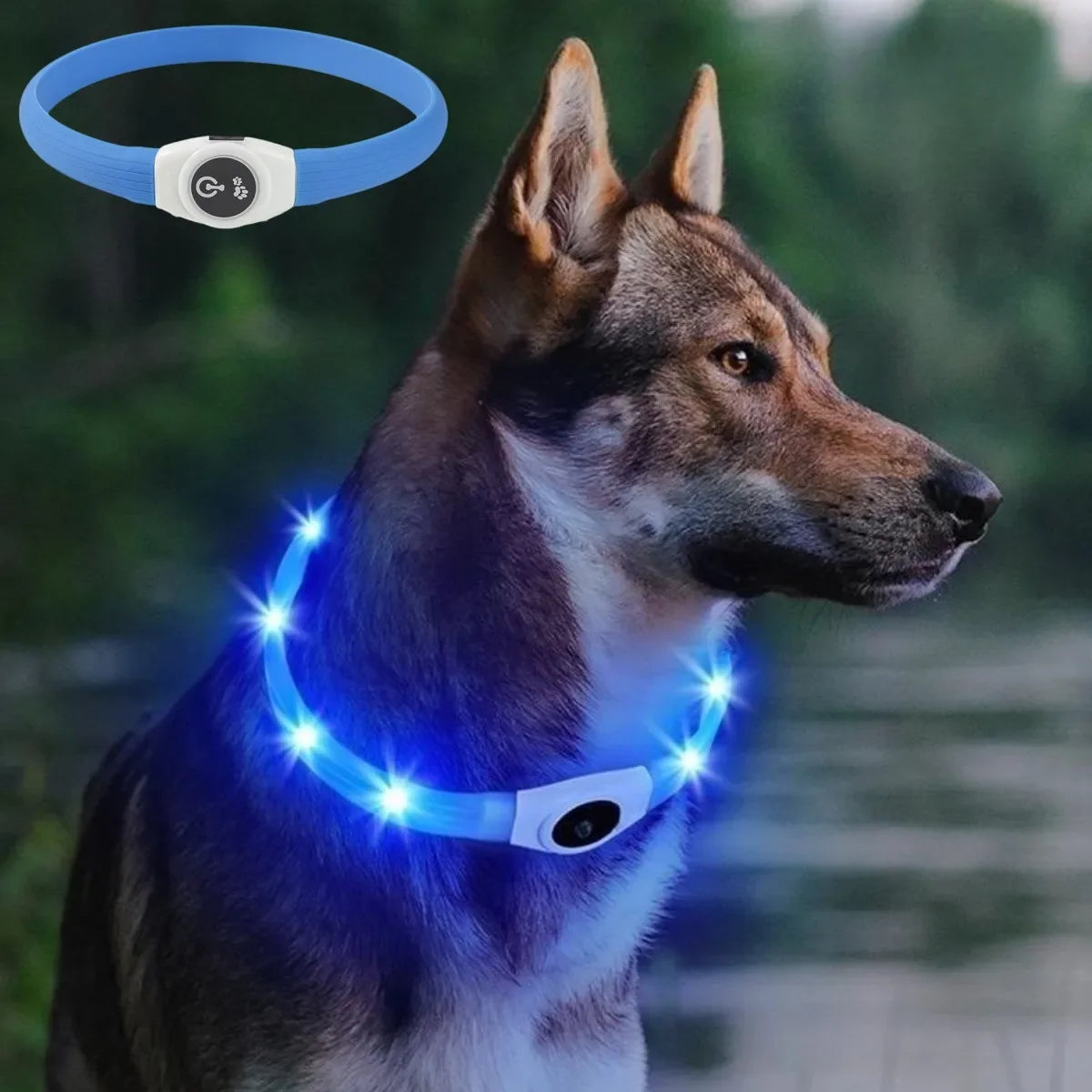 the NIGHTBEAM GLOW COLLAR - New Led Luminous Dog Collar, PVC Waterproof for Large/Medium/Small Dogs, Collar USB Light Night Safety, Pet Glowing Accessories
