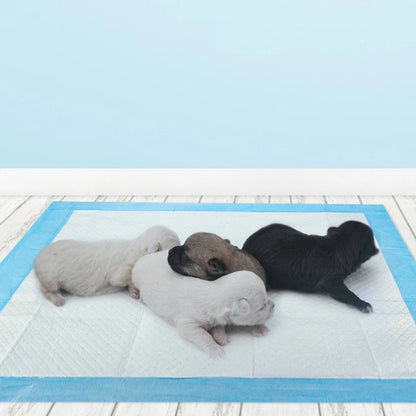 the PET PADS - 100/50/40/20PCS Pet Diaper Super Absorbent Disposable Dog Training Pee Pads, Quick Dry Clean Cushion, Cats/Dogs Supplies