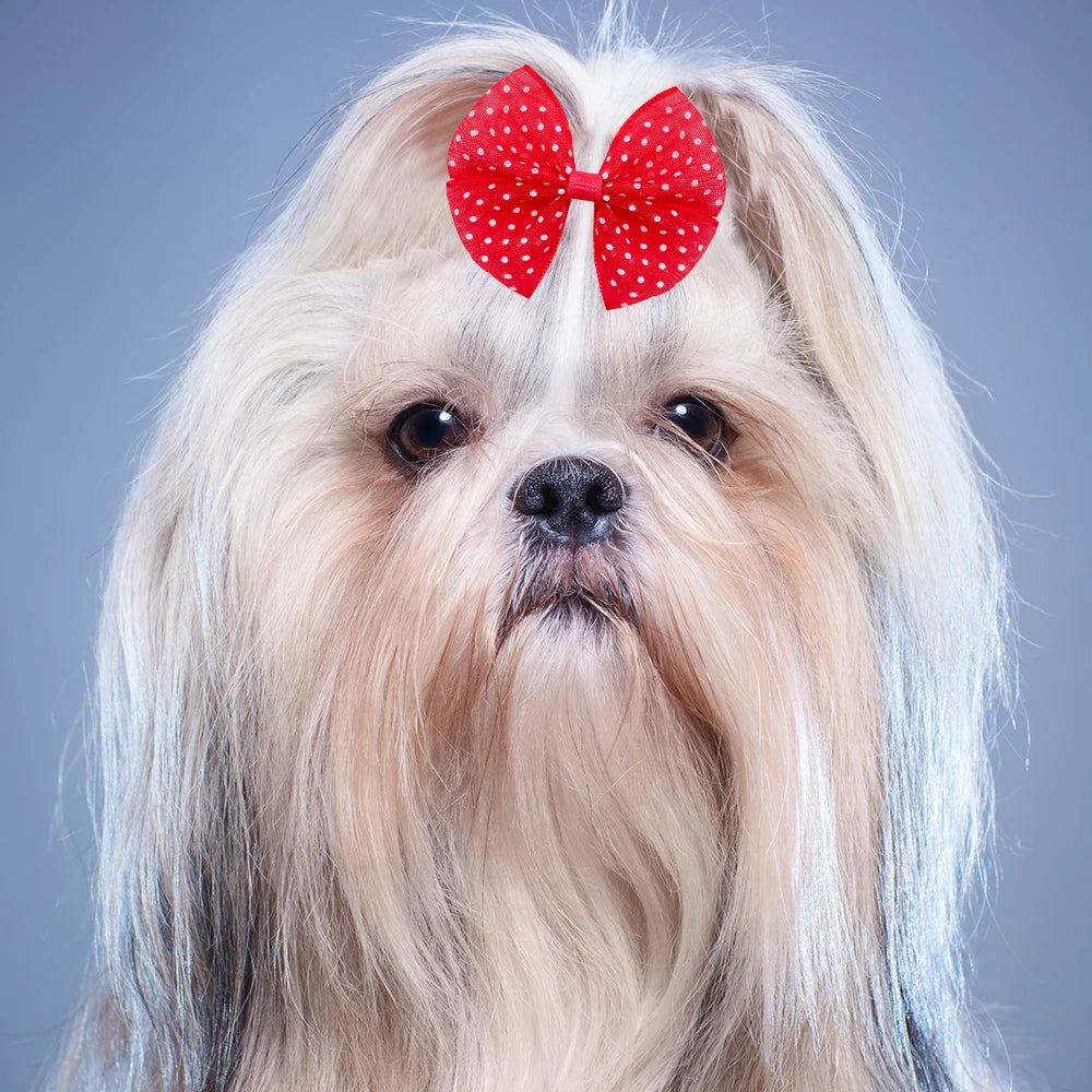 12PCS Lace Dogs Hair Bows With Dotted Dog Hair Rubber Bands Colorful Grooming Dog Hair Bowknot For Puppy Pet Products Pet Items