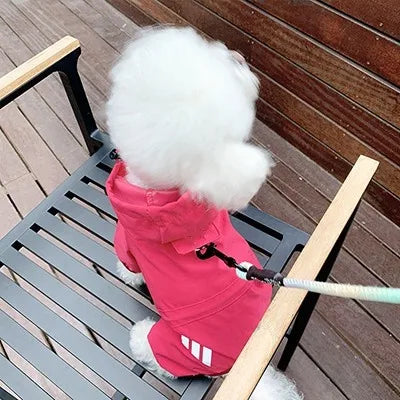 the RAINGUARD FOUR-LEG RAINCOAT - Little Dog Raincoat, Four-Legged Waterproof, Teddy Bear, Schnauzer, Small Dog Pet, Walking Dog in Rainy Days