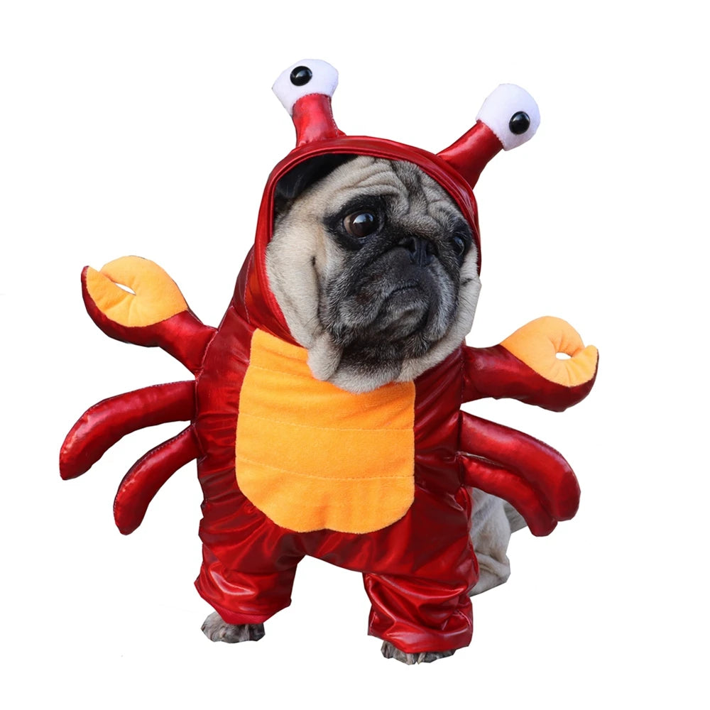 Funny Red Crab Costume Halloween Dog Clothes Cosplay Halloween Durable Unique And Exclusive Two-Legged Costume for Festival Play