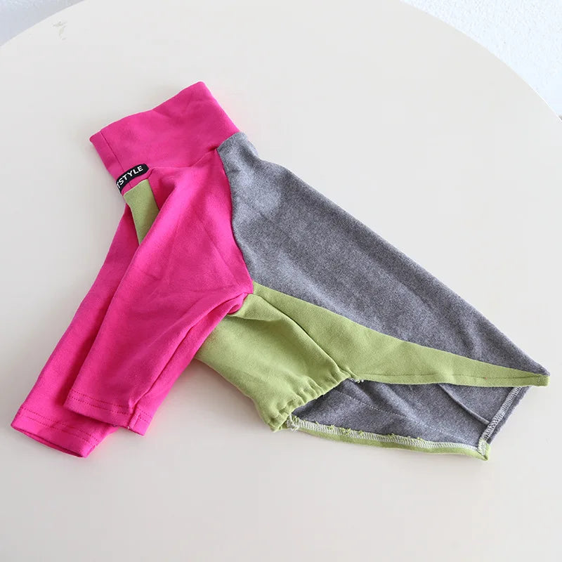 8colors Italian Greyhound Hound Two-Legged Clothes Fashionable Multicolor Soft Comfortable Elastic Fashion Patchwork Dog Clothes