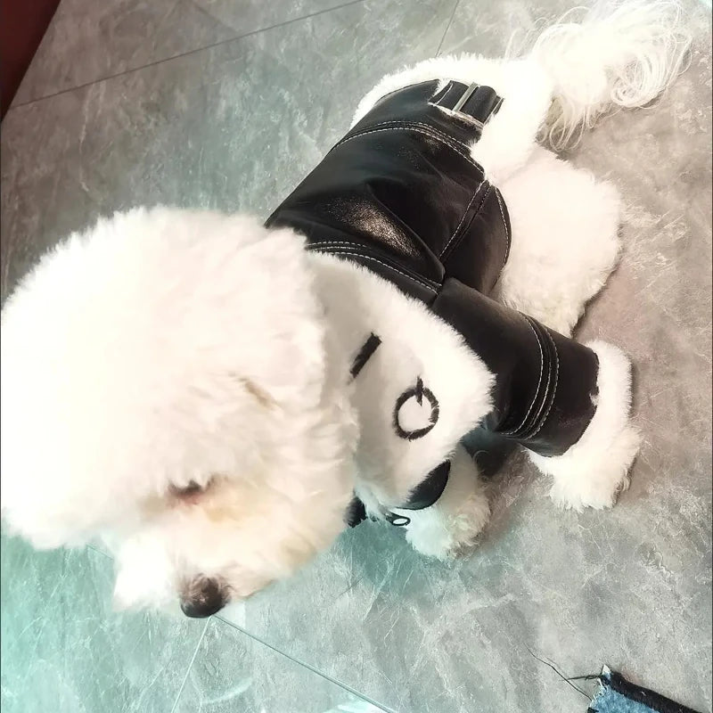 the BIKER DOG - Thickened Fur Integrated Motorcycle Jacket, Pet Clothes, Winter Clothing, Small Dog, Teddy, Pomeranian, Schnauzer