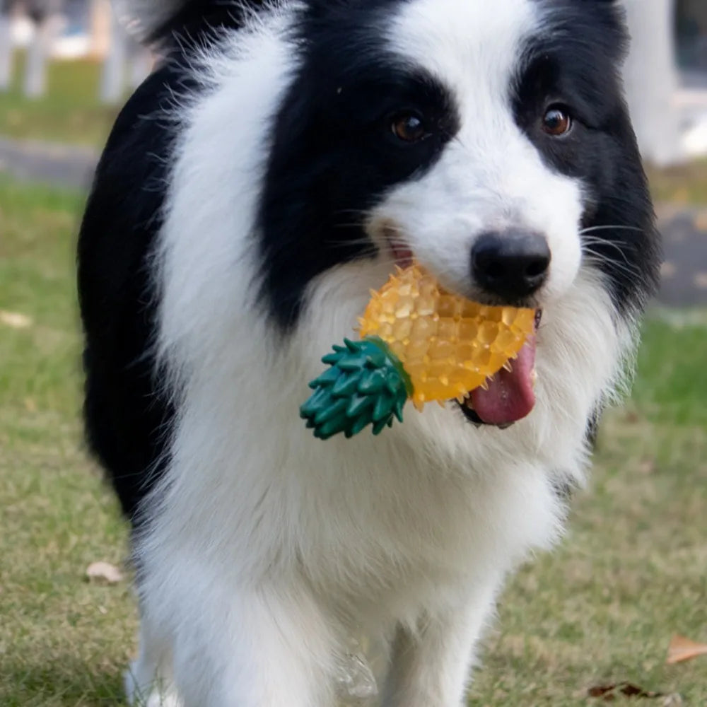 the CITRUSCRUNCH SQUEAKY - Pet Squeaky Chew Toy, Dog Teeth Cleaning Toy, Watermelon Pineapple Lemon Fruit Shape Puppy Bite Resistant Toy, Pet Supplies