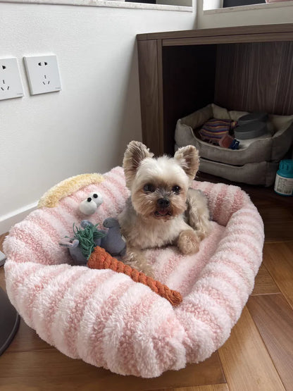 Puppy special sofa kennel winter warm pet Internet celebrity cat nest small dog dog sleeping mat cushion winter bed