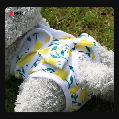 Cartoon Print Dog Diaper Physiological Pant Sanitary Puppy Shorts Underwear Small Medium Dog Cat Pants Female Dog Panties