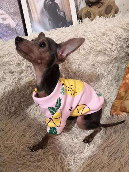 the PAWPET SNUGFIT SWEATSHIRT - Sweet Pet Dog Clothes for Small Dogs, Shih Tzu, Yorkshire Hoodies/Sweatshirt, Soft Puppy/Dog Cat Costume Clothing