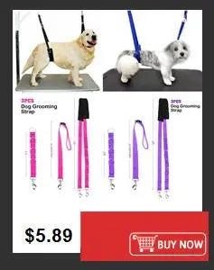 Cartoon Print Dog Diaper Physiological Pant Sanitary Puppy Shorts Underwear Small Medium Dog Cat Pants Female Dog Panties