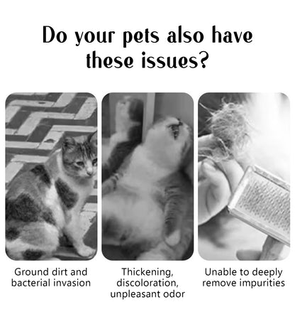 Dog Steam Comb Pet Massage Brush USB Charging Safe Round Head Soft Teeth Spray Hair Removal Comb Universal for Cats Dogs