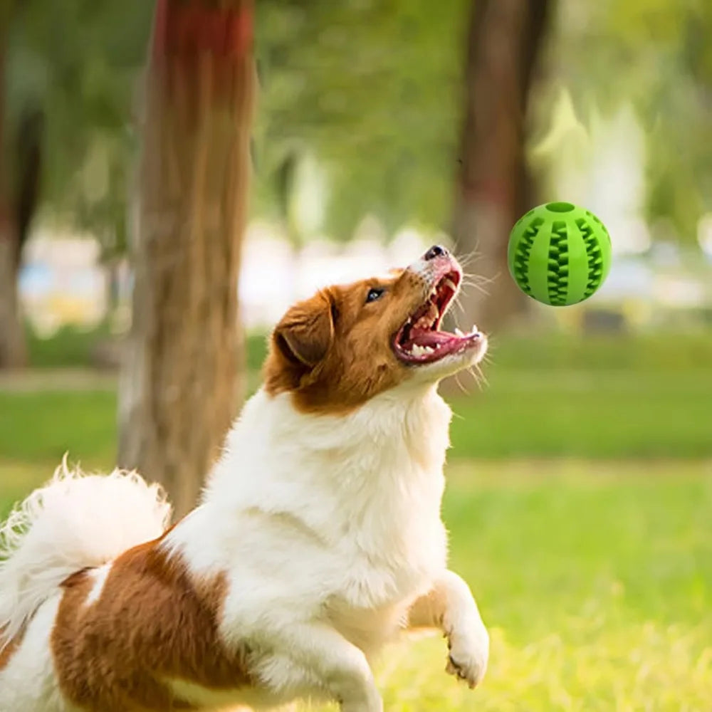 Dog Rope Ball Bite Resistance Training Ball with Rope Interesting Puzzle Teething Toy for Molar Teeth Cleaning Boredom Relieving