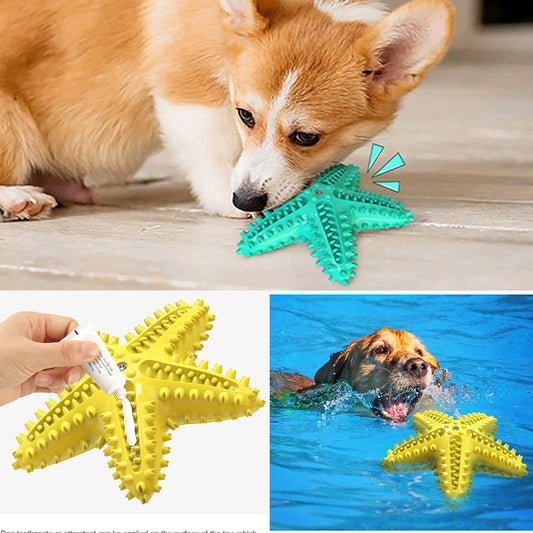 Squeak Toothbrush Chew Dog Toy Starfish Soft Rubber Puppy Plaything Interactive Chewing Dogs Toys With Sound Aggressive Chew Toy