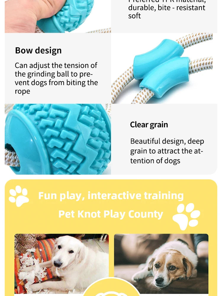 Dog Toys TPR Ball Teeth Grinding Cleaning Teeth Pet Play Suction Cup Elastic Pull Rope Chew Toy Dog Supplies