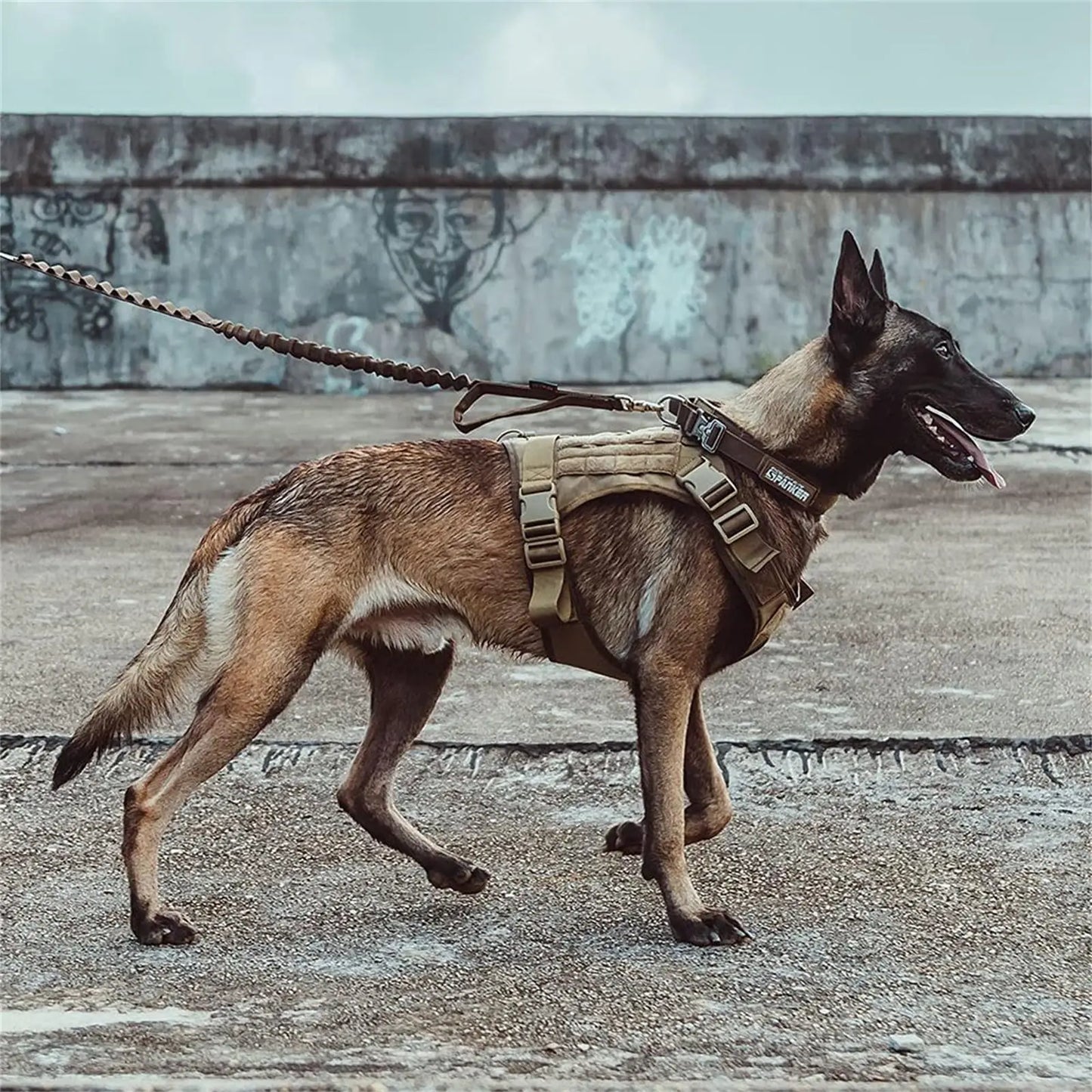 Tactical Dog Harness for Large Pet Harness No-Pull Service Vest Adjustable Military Dog Vest for Training Hunting Walking