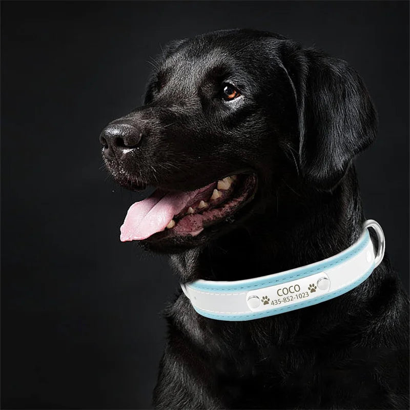 the GLOWGUARD PERSONALIZED COLLAR - Customized Reflective Dog Collar, Name Carved ID Anti-Lost Microfiber Collar for Small/Medium/Large Dogs, Puppy/Cat/Pet Supplies
