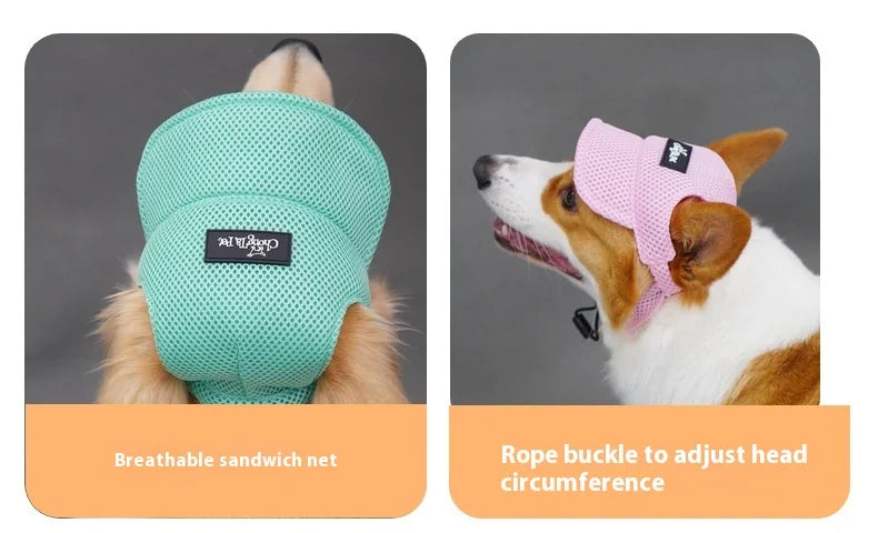 the SUNPAWS BREATHABLE HAT - New Summer Pet Dog Hat, Breathable Sun Protection, Ears Exposed Design, Golden Retriever, Dog Cap, Summer Shade Pet Accessories